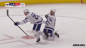National Hockey League GIF by NHL