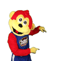 higherimpactent dance yes excited look Sticker