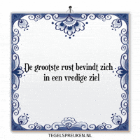 Humor Nl GIF by Tegelspreuken.nl