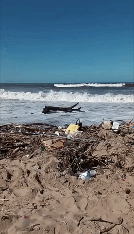 Debris Strewn on Beach in South Africa