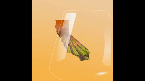 Red Wine California GIF by AssemblyDems