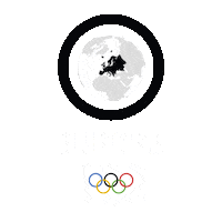 Summer Olympics America Sticker