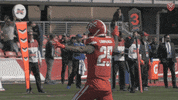 Defenders GIF by XFL