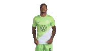 Happy Football Sticker by VfL Wolfsburg