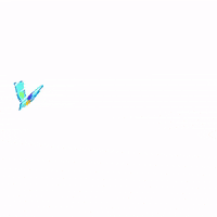 Election 2020 Vote GIF by NBC LX