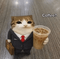 Business Man Cat GIF