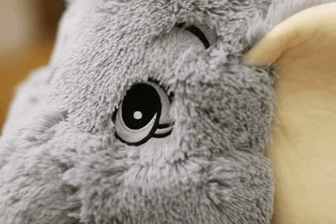 Peluche-Kingdom giphygifmaker GIF
