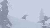 Wipe Out Lol GIF by Outside TV