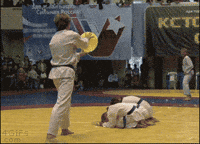 bam GIF