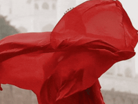 Miss India Avni GIF