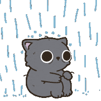 Rain Sticker by Bubu