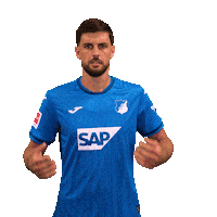 Ich Bin Da Florian Grillitsch Sticker by TSG Hoffenheim