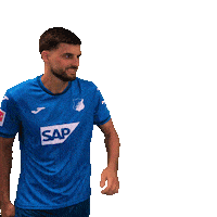 Florian Grillitsch Sport Sticker by TSG Hoffenheim
