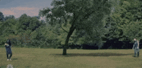 snl tree GIF by Saturday Night Live