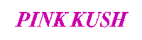 Infsd Swimwear Pink Kush Sticker by INFSD