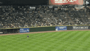 Blue Jays Baseball GIF by Toronto Blue Jays