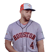 Houston Astros Brush Sticker by MLB