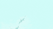 Benoit Mandelbrot Lsd GIF by xponentialdesign