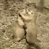 alan GIF