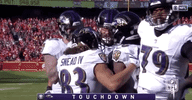 2018 Nfl Football GIF by NFL