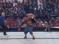 wwe sports wwe wrestling summerslam GIF