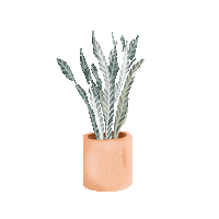 Plant Sticker