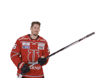 Lulea Hockey Fish Sticker by Örebro Hockey