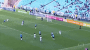 dudu GIF by SE Palmeiras