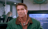 GIF by Giphy QA