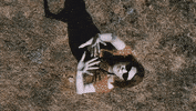 Thecarrottards Help GIF by MporeiKaiOxi
