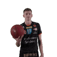 Gaston Sweden Basketball Sticker by Borås Basket