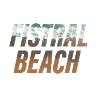 Cornwall Sticker by Boardmasters