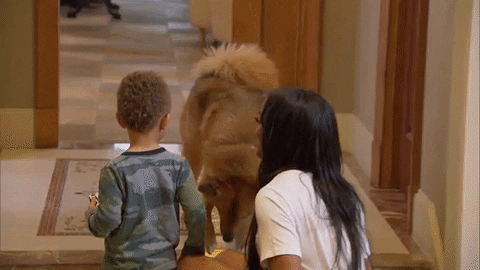 episode 9 dog GIF by The Bachelorette