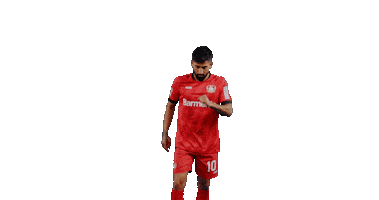 Bayer 04 Goal Sticker by Bayer 04 Leverkusen