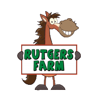 Horse Sticker by RUTGERS SEBS