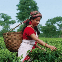 MakingCentsIntl women youth socialenterprise economicopportunities GIF