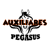 Empresa Servicios Sticker by Pegasus Soluciones