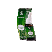 natucentro bee honey mel abelha Sticker