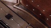 Fun Vibing GIF by Pote Baby