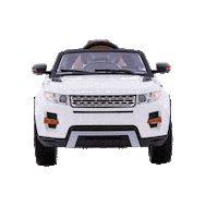 StopeGo stop stopego brincandodedirigir stopgo Sticker