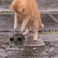 Dance Dancing GIF by Sad Hamster