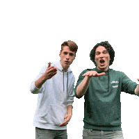 Hands Up Gebarentaal Sticker by KRO-NCRV