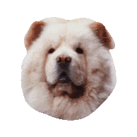 Archarmy Sticker by arch