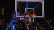 fc barcelona basketball GIF by ACB