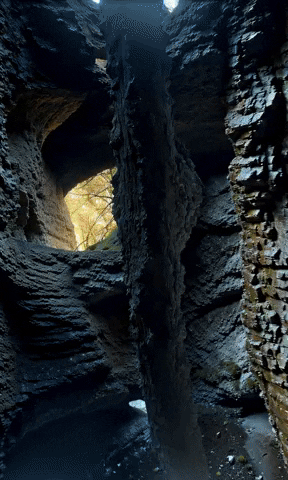 Sa Sd GIF by Aleksey Efremov