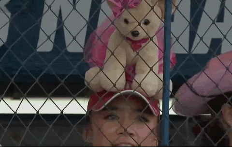 Dog Softball GIF by NCAA Championships