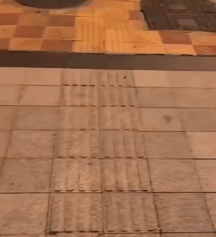 dynamicsprocess giphyupload GIF