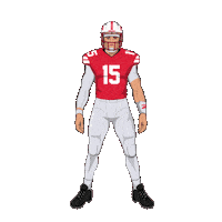 College Football Sticker by SportsManias