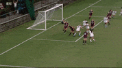 Ncaa Soccer Goal GIF by gamecocksonline