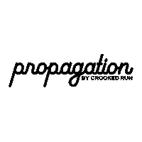 Beer Festival Sticker by Crooked Run